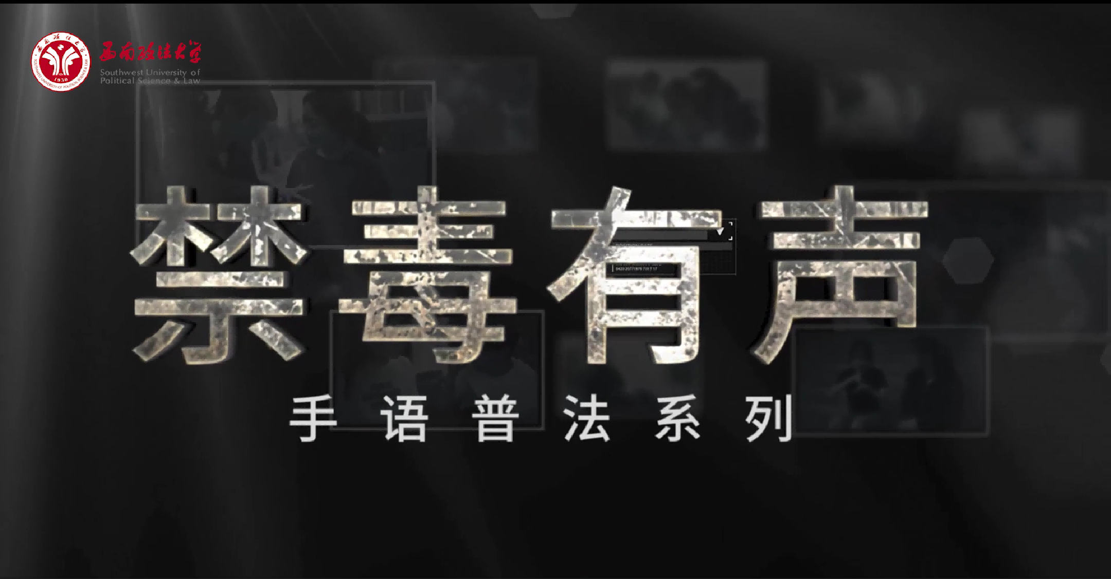 ”禁毒有声“ 手语普法系列短视频